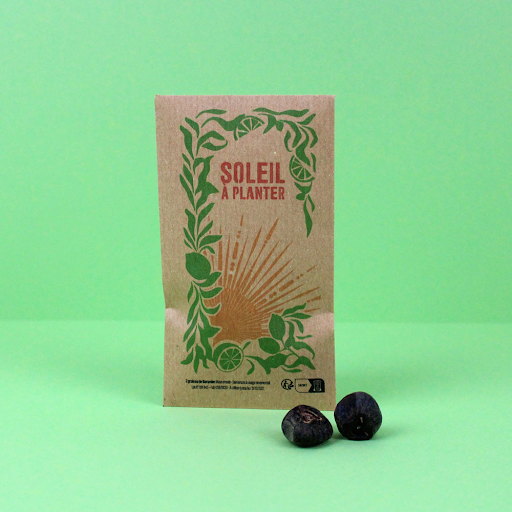 Sachet kraftgraines exotiques