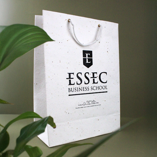 Sac papier graines moyen modèle