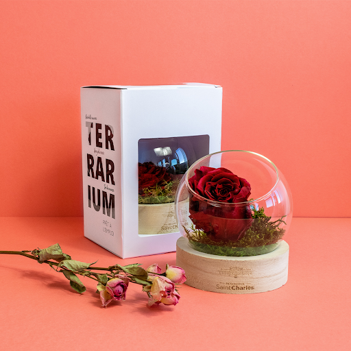 Rose éternelle en terrarium socle bois