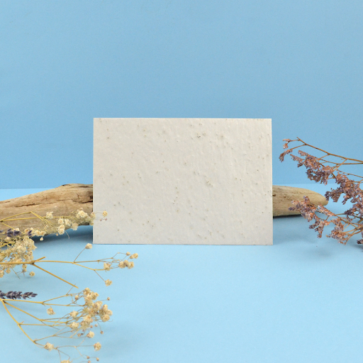 Enveloppe papier graines 162x114mm neutre