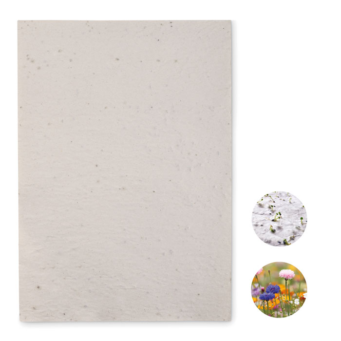 Gris Transparent